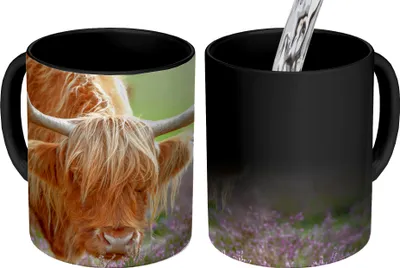 Obrázek produktu pro MuchoWow® Kouzelný pohár Skotský horal - fialová - květiny 350 ml Barva měnící se pohár Dárkový nápad - foto hrnek