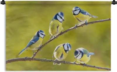 Produktbild von MuchoWow® Wandteppich Wandbehang Vogel - Blaumeise - Äste - Sonne 150x100 cm Tapisserie Dekoration Wandtuch - Waschbar - Tapisserien - Wand-Decke