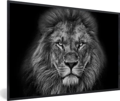 Produktbild von MuchoWow® Gerahmtes Poster Tiere - Löwe - Schwarz - Weiß - Porträt 90x60 cm - Poster mit Schwarzem Bilderrahmen Wandposter Rahmen Foto Bilder - Fotorahmen - Foto-Plakat