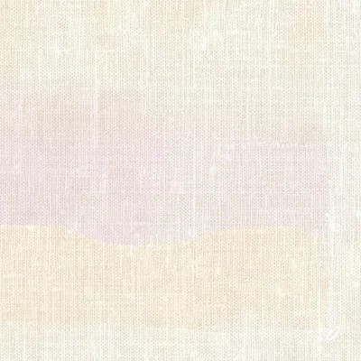 Obrázek produktu pro Duni classic ubrousky 4vrstvé 40 x 40 cm Serenity 50 kusů