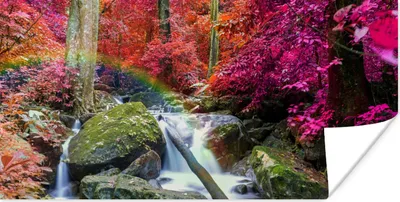 Produktbild von MuchoWow® Poster Regenbogen - Wasserfall - Bäume - Steine - Moos 120x60 cm - Bild
