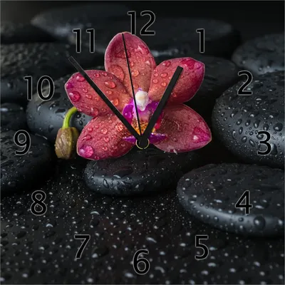 Produktbild von Wallario Design Wanduhr Orchideen-Blüte auf schwarzen Steinen, benetzt mit Wasser-Tropfen aus Echtglas, Größe 30 x 30 cm