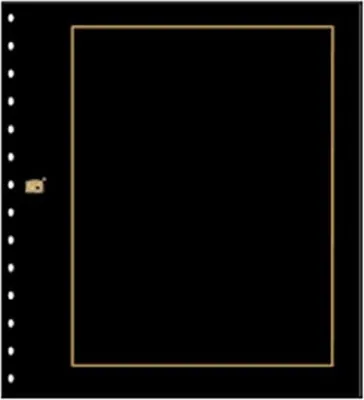 Produktbild von SAFE 793 PA Blankoblatt per 10