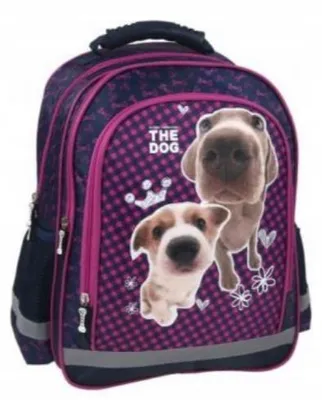 Obrázek produktu pro Derform THE DOG Dívčí vícekamerový batoh do školy