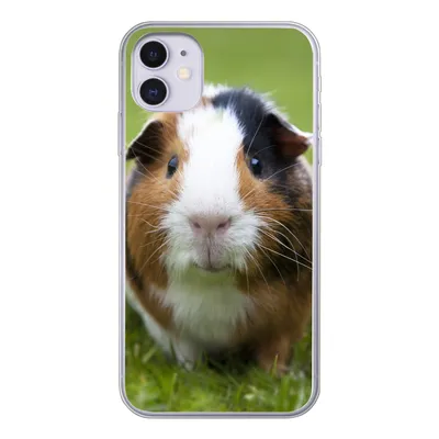 Produktbild von MuchoWow® Handyhülle Schutzhülle Hülle für iPhone 11 Zwei Meerschweinchen Silikon Softcase Handy Hülle - Handytasche