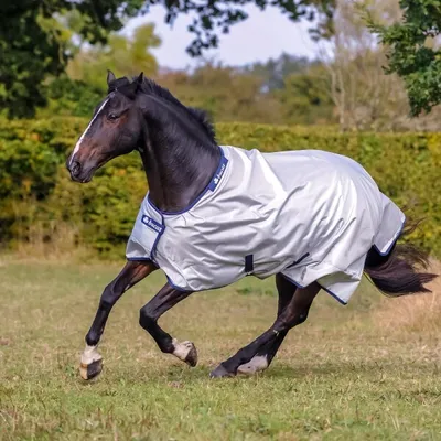 Produktbild von BUCAS Power Turnout 0g light Regendecke Weidedecke , Buc17_Gr.:155cm
