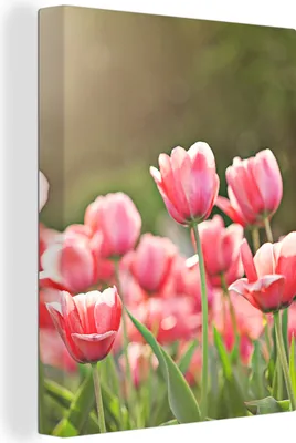 Produktbild von MuchoWow® - Leinwandbilder - Tulpen - Sonne - Frühling, Wandbild, Wanddeko Bilder Wohnzimmer, 60x80cm