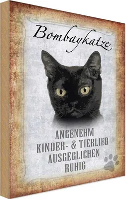 Produktbild von vianmo Holzschild 18x12 cm Bombaykatze Katze