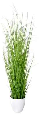 Produktbild von Kunstpflanze Gras, GRASBUSCH im weißen Topf. Ca 75 cm. TOPF WEISS.