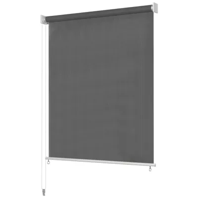 Immagine prodotto di Tenda a rullo esterna 220 x 140 cm antracite