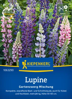 Produktbild von Kiepenkerl Lupinensamen Gartenzwerg 20 Pflanzen
