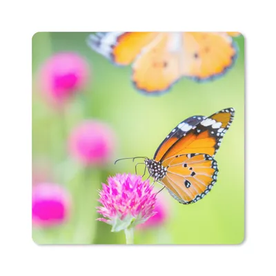 Produktbild von MuchoWow® Mauspad Mousepad Insekten - Schmetterlinge - Blumen 20x20 cm - Mousepads - Maus Mat - Pad - Mausunterlage - Desk Mat - Bureauartikeln