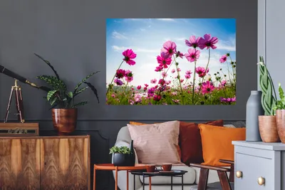 Produktbild von MuchoWow® - Selbstklebend - Fototapeten