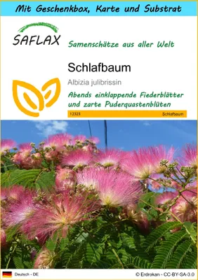 Produktbild von SAFLAX Geschenk Set - Schlafbaum - Albizia julibrissin - 50 Samen - Mit Geschenkbox, Versandaufkleber, Geschenkkarte und Anzuchtsubstrat