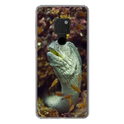 Produktbild von MuchoWow® Handyhülle Schutzhülle Hülle für Huawei P40 Lite Fische - Korallen - Ozean Silikon Softcase Handy Hülle - Handy