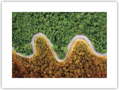 Produktbild von Poster - Poster ohne Rahmen - Luftaufnahmen Weg Wald - 40x30 cm - Wand Bild - Wanddeko - Wandbilder - Kunstposter - Wandposter - Bilder - Kunstdruck - Wanddekoration - Wandbild - P2XAA40x30-4659