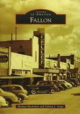 Zdjęcie produktu dla Fallon