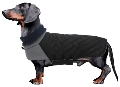 Produktbild von Geyecete Wintermantel für Dackel – Warm, wasserdicht, winddicht, mit hohem Kragen und Kordelzügen für kleine Hunde – Schwarz, Größe M