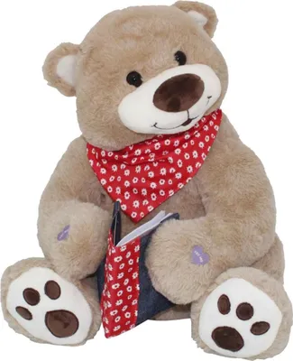 Image de Ourson Max
