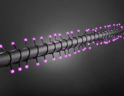 Produktbild von Konstsmide - LED Globelichterkette, runde Dioden, 80 purpurfarbene Dioden, 24V Außentrafo, schwarzes Kabel ; 3691-457