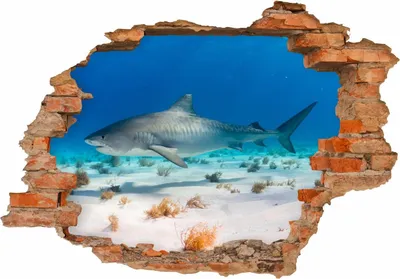 Produktbild von 100 Wandtattoo Hai - Loch in der Wand  - 1500 x 1000 mm