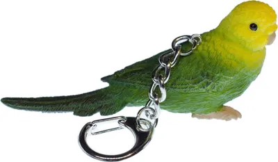 Produktbild von Wellensittich Schlüsselanhänger Miniblings Anhänger Schlüsselring Vogel grün