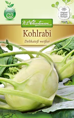Produktbild von Kohlrabi Delikatess Weißer | Kohlrabisamen von N.L. Chrestensen