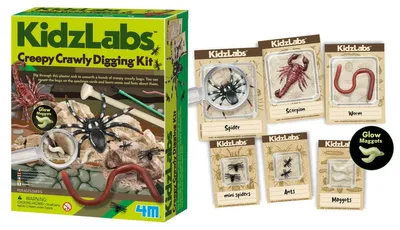 Obrázek produktu pro KidzLabs prolézající zvířecí vykopávky