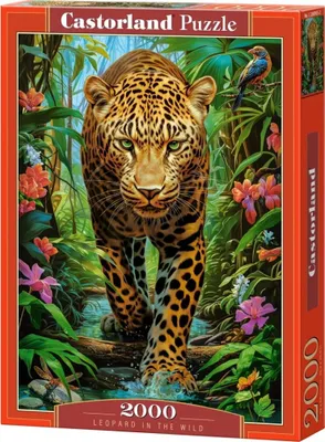 Zdjęcie produktu dla Puzzle 2000 Leopard in the Wild C-200955-2