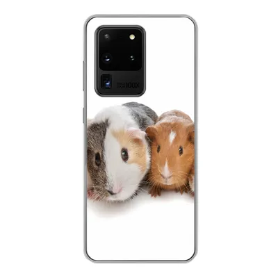 Produktbild von MuchoWow® Handyhülle Schutzhülle Hülle für Samsung Galaxy S20 Ultra Fünf Meerschweinchen Silikon Softcase Handy Hülle - Karteninhaber