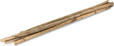 Produktbild von Pappel Rinde natur im Bund ca. 180-200cm