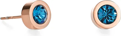 Produktbild von Sparkling Dots Ohrringe roségold petrol