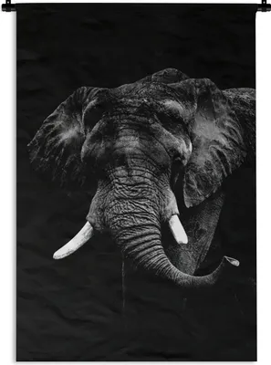 Produktbild von MuchoWow® Wandteppich Wandbehang Elefant vor schwarzem Hintergrund - schwarz und weiß 90x135 cm Tapisserie Dekoration Wandtuch - Baumwolle - Wandskulptur