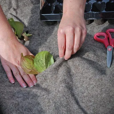 Obrázok produktu pre Záhradná ochranná rohož z vlny, veľká, 1,2 x 0,8 m
