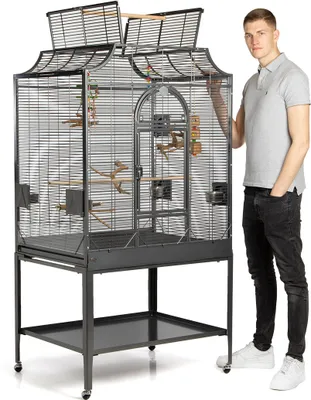 A man stands next to a large bird cage.