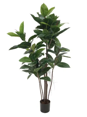 Obrázek produktu pro EUROPALMS Gumovník, umělá rostlina, 120 cm