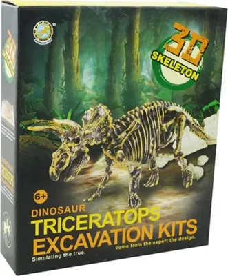 Produktbild von Aro schnitzt ein Dinosaurierskelett, einen Triceratops, 23 cm