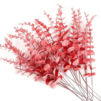 Obrázek produktu pro Umělé eukalyptové větvičky, červené, 30 kusů, 38 cm