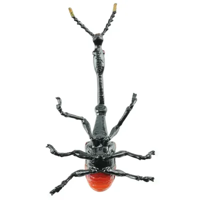 Produktbild von Toymany ML00428 Giraffenhalskäfer 8,4 cm Reptilienreich