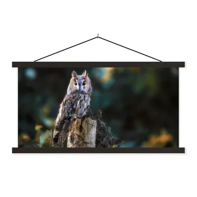 Produktbild von MuchoWow® Textilposter Eule - Herbst - Vogel - Äste 60x30 cm mit schwarzem Rahmen - Textilien