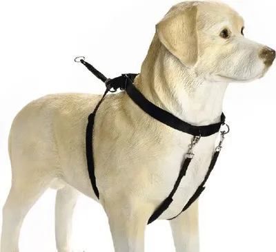 Produktbild von Beeztees Gentle Walker - Hundegeschirr - schwarz - M