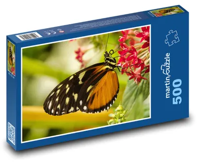 Produktbild von Puzzle 500 Schöner Schmetterling auf Blume - martinpuzzle