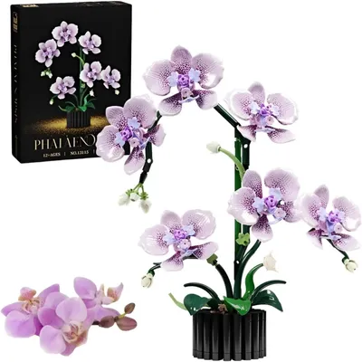 Image de Kit de création de bonsaï d'orchidées - Bouquet floral botanique - Décoration à faire soi-même - Plastique - Pour intérieur - Décoration d'intérieur - Violet