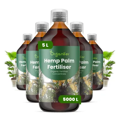 Produktbild von Hanfpalme Flüssigdünger 5x1L – 2-1-8 NPK – Flüssig-Pflanzendünger für Hanfpalmen – Organifer