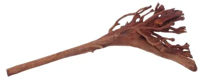 Produktbild von M Jungle Wood Wurzel Nr.4471 Holz Deko Aquascaping