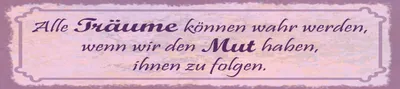 Produktbild von vianmo Blechschild 10x46 cm alle Träume können wahr werden