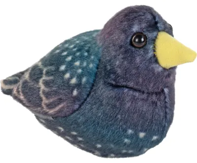 Produktbild von Starling-Klangvogel - STARLING