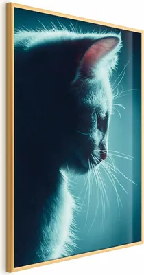 Produktbild von Posterpapier Poster - Night Wanderer 29.7x42 cm Tiere g-B-0135-ao-a