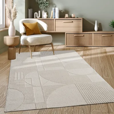 A modern living room scene featuring a rug, chair, and furniture.