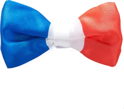Immagine prodotto di Cravatta Francia blu-rosso-bianca - Taglia unica